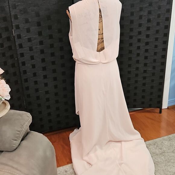 NWT Jenny Yoo Paltrow Gown Soft Blush Pink Luxe Ciffon Size 12 - Picture 9 of 14